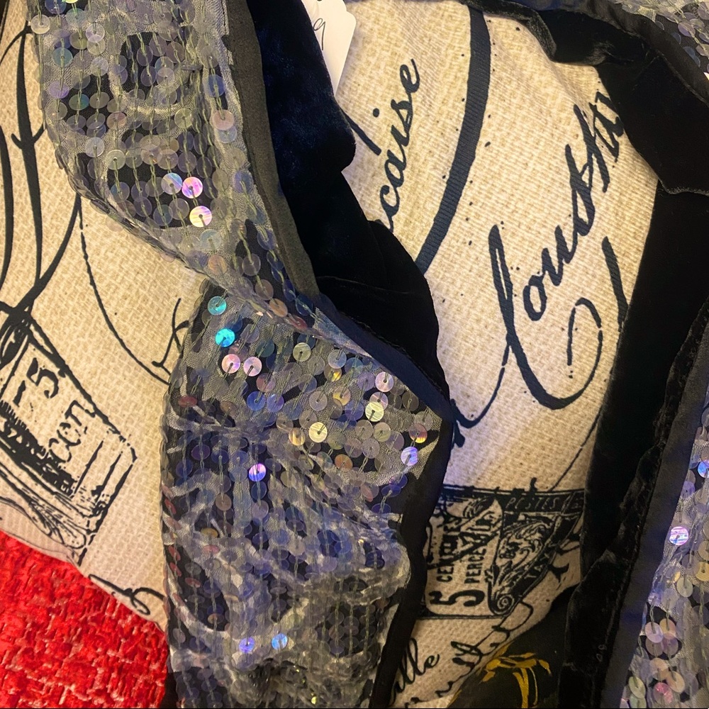 Black velvet and silver sequined scarf